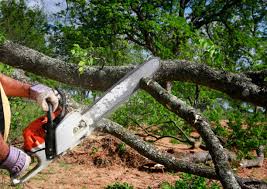 Pest Control for Lawns in Winamac, IN